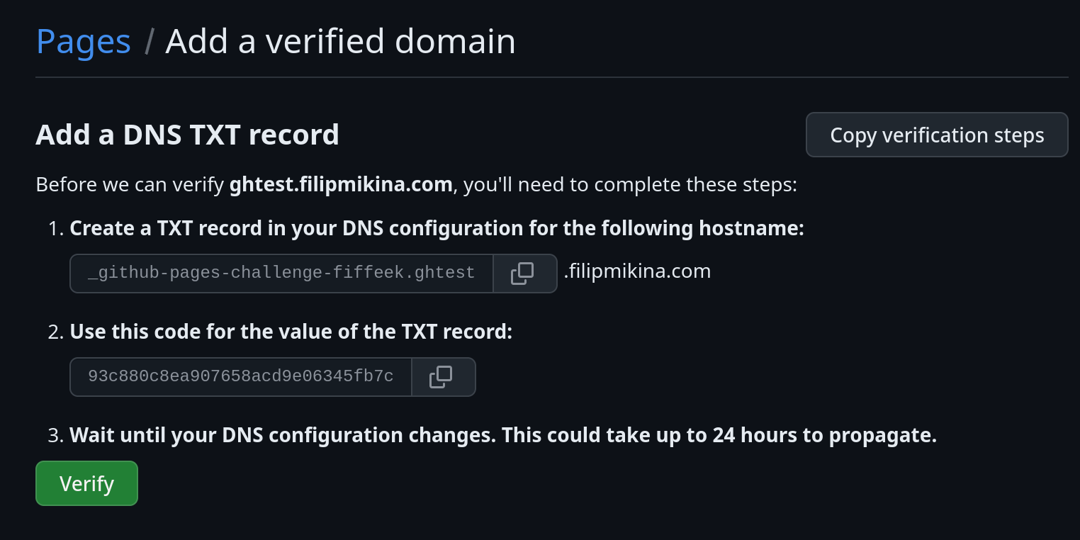 GitHub DNS verification prompt showing the TXT record details