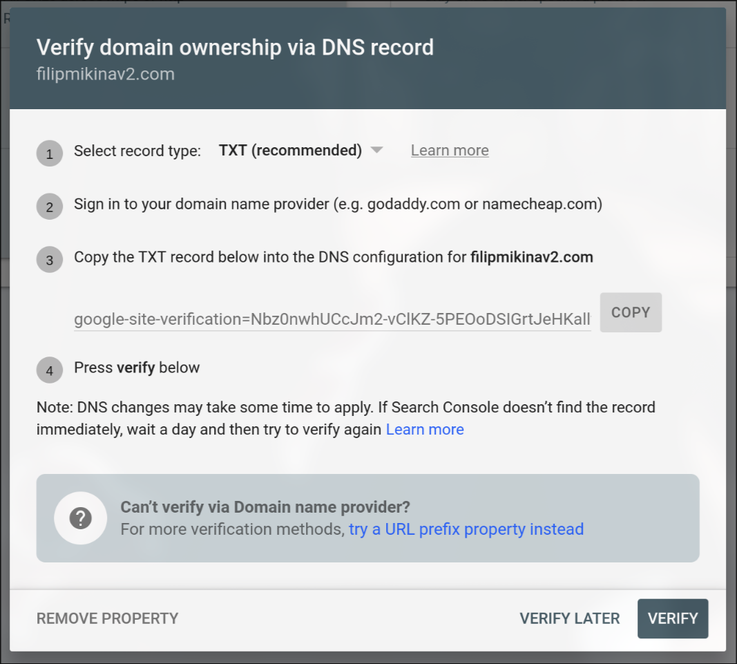 DNS verification instructions showing a TXT record value starting with 'google-site-verification=' to copy and add to your domain's DNS.
